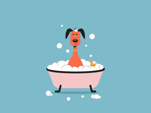 Finde Dein Waschcenter!